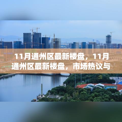 11月通州区最新楼盘市场热议与个人观点探析