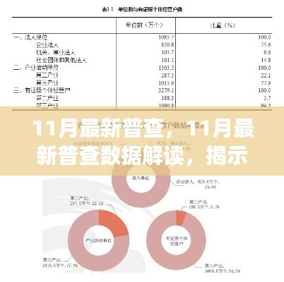 11月最新普查数据引发解读争议，揭示真实情况还是掀起波澜？