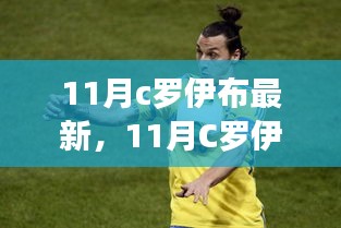 11月C罗伊布全新技能学习攻略，从入门到精通