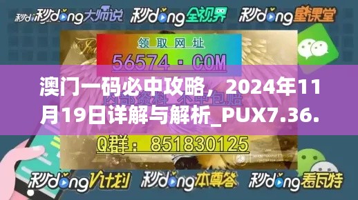 澳门一码必中攻略，2024年11月19日详解与解析_PUX7.36.74黄金版