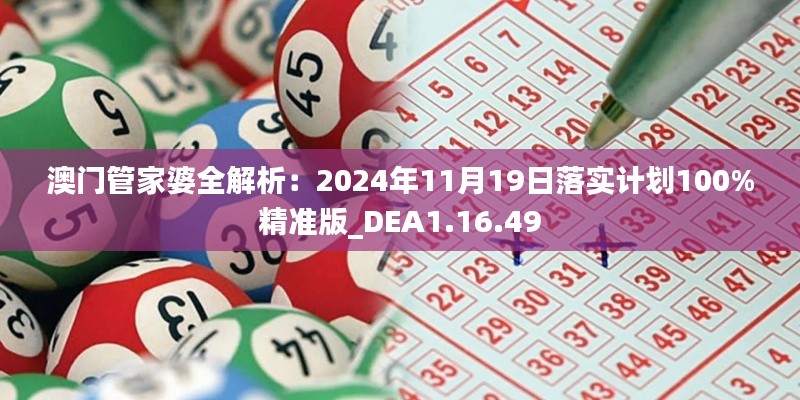 澳门管家婆全解析：2024年11月19日落实计划100%精准版_DEA1.16.49