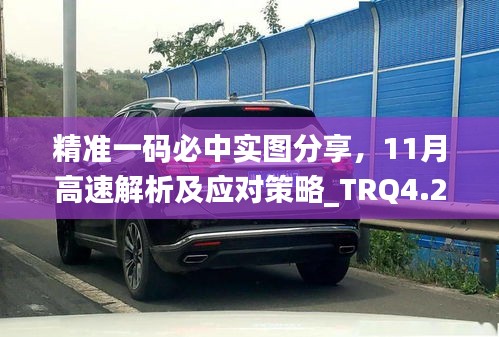 精准一码必中实图分享，11月高速解析及应对策略_TRQ4.28.41环境版