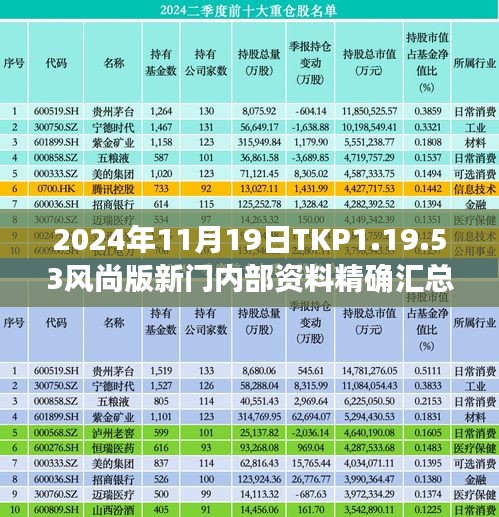 2024年11月19日TKP1.19.53风尚版新门内部资料精确汇总与创新方案设计