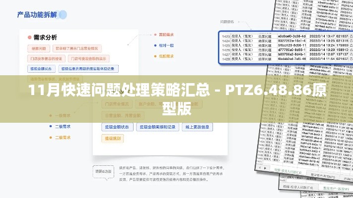 11月快速问题处理策略汇总 - PTZ6.48.86原型版