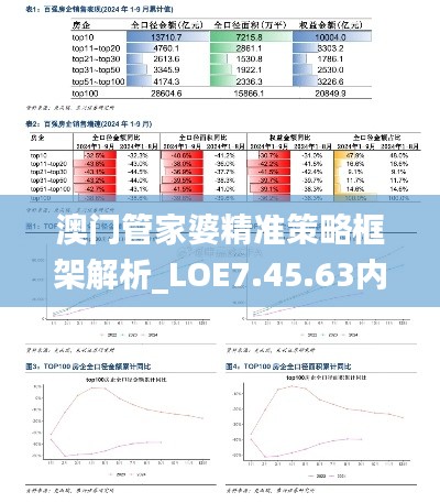 澳门管家婆精准策略框架解析_LOE7.45.63内含版