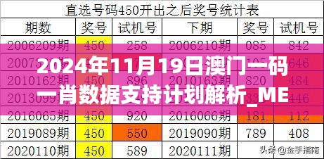 2024年11月19日澳门一码一肖数据支持计划解析_MEK2.31.26特殊版