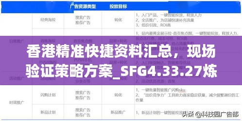 香港精准快捷资料汇总，现场验证策略方案_SFG4.33.27炼肉境