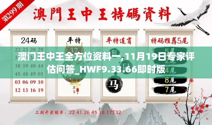 澳门王中王全方位资料一,11月19日专家评估问答_HWF9.33.66即时版