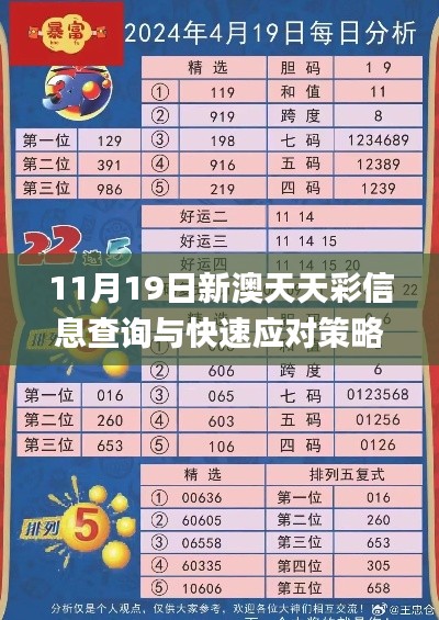 11月19日新澳天天彩信息查询与快速应对策略解析_JGX2.79.80中级版