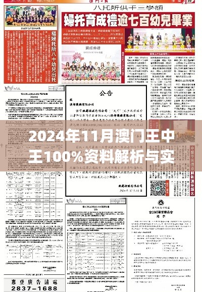 2024年11月澳门王中王100%资料解析与实施指导_CSD7.46.40内容创作版