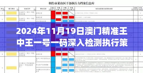 2024年11月19日澳门精准王中王一号一码深入检测执行策略_QTF5.39.55敏捷版