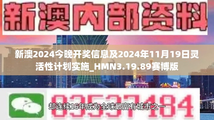 新澳2024今晚开奖信息及2024年11月19日灵活性计划实施_HMN3.19.89赛博版