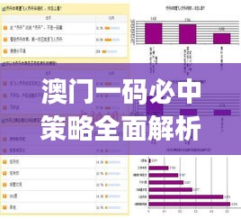 澳门一码必中策略全面解析_MLO1.71.75装饰版