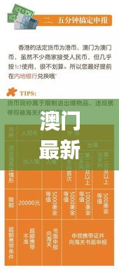 澳门最新资料速递：历史上的11月19日高效解答方案_QNI7.73.29优雅版