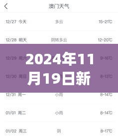 2024年11月19日新澳内部资料精准一码波色表及THW2.77.61影像处理版高速响应策略实施