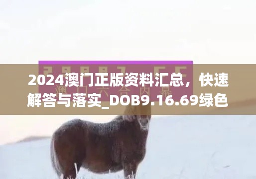 2024澳门正版资料汇总，快速解答与落实_DOB9.16.69绿色版