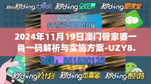 2024年11月19日澳门管家婆一肖一码解析与实施方案-UZY8.45.22增强版