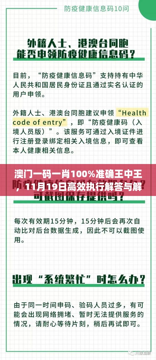 澳门一码一肖100%准确王中王，11月19日高效执行解答与解释策略_EPR2.30.59体验版