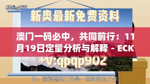 澳门一码必中，共同前行：11月19日定量分析与解释 - ECK1.39.83习惯版