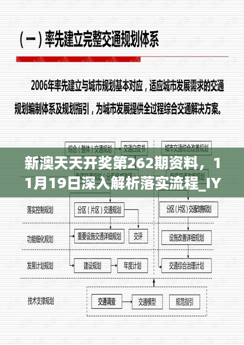 新澳天天开奖第262期资料，11月19日深入解析落实流程_IYU3.29.25版本