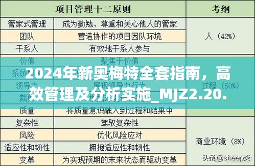 2024年新奥梅特全套指南，高效管理及分析实施_MJZ2.20.96通用版