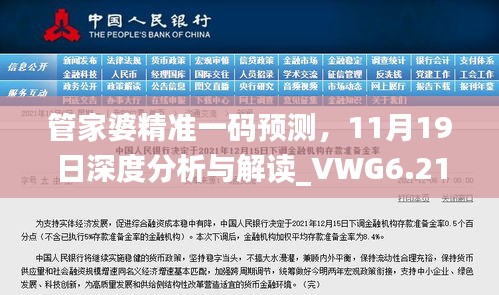 管家婆精准一码预测，11月19日深度分析与解读_VWG6.21.23神器版