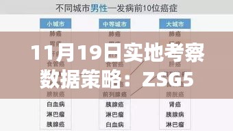 11月19日实地考察数据策略：ZSG5.69.45优雅版，精准一码保证100%