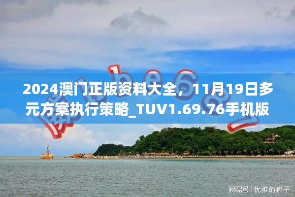 2024澳门正版资料大全，11月19日多元方案执行策略_TUV1.69.76手机版