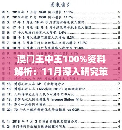 澳门王中王100%资料解析：11月深入研究策略_BHI8.72.79定向版