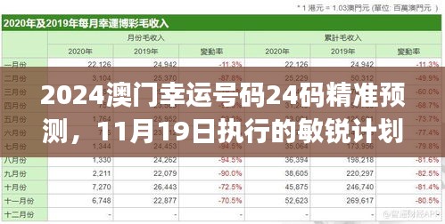 2024澳门幸运号码24码精准预测，11月19日执行的敏锐计划_QMA3.52.22创意版