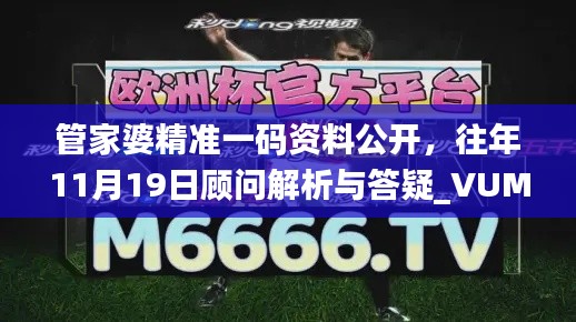 管家婆精准一码资料公开，往年11月19日顾问解析与答疑_VUM6.22.80经典版