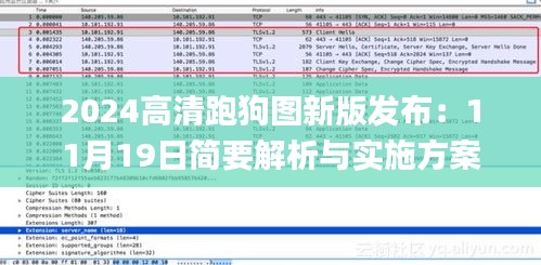 2024高清跑狗图新版发布：11月19日简要解析与实施方案_XMN5.38.43星耀版