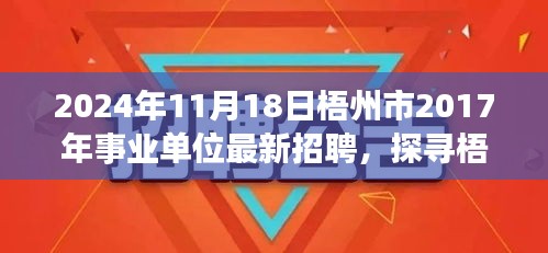 梧州市事业单位招聘背后的故事，探寻特色小店与隐藏瑰宝的深度之旅（最新招聘资讯）