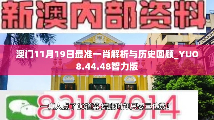 澳门11月19日最准一肖解析与历史回顾_YUO8.44.48智力版