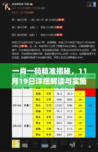 一肖一码精准揭秘，11月19日详细解读与实施_PNP1.67.76行业版