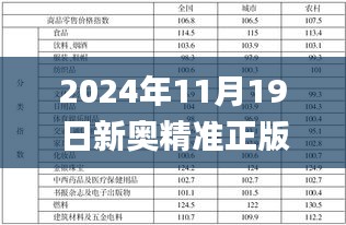 2024年11月19日新奥精准正版资料全面解析方案_DGC9.78.98共鸣版