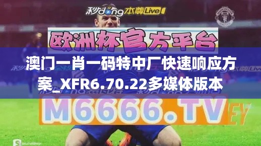 澳门一肖一码特中厂快速响应方案_XFR6.70.22多媒体版本