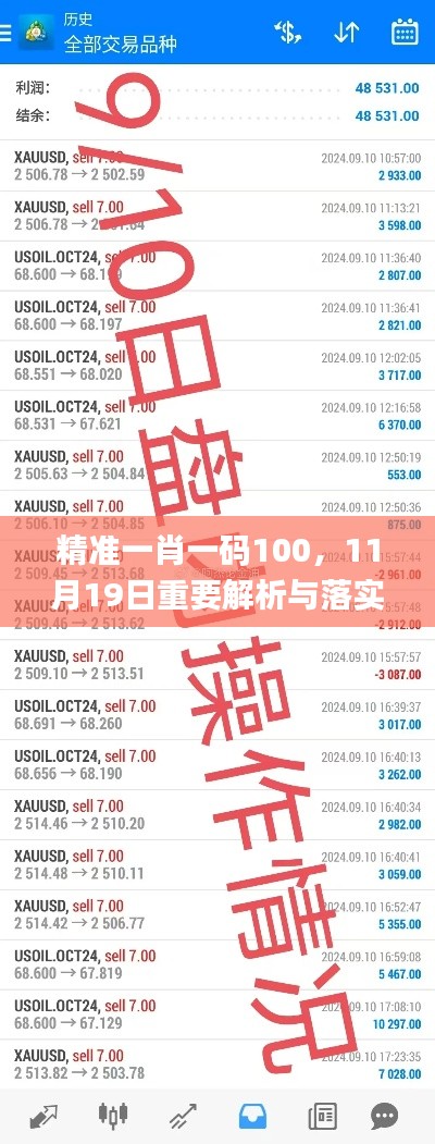 精准一肖一码100，11月19日重要解析与落实_DZX4.59.85进口版