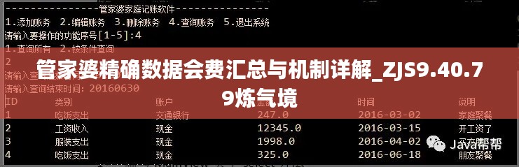 管家婆精确数据会费汇总与机制详解_ZJS9.40.79炼气境