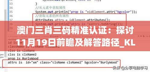 澳门三肖三码精准认证：探讨11月19日前瞻及解答路径_KLE5.59.94智力版