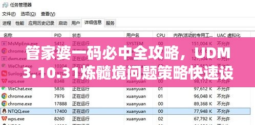 管家婆一码必中全攻略，UDM3.10.31炼髓境问题策略快速设计