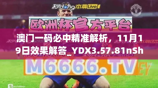 澳门一码必中精准解析，11月19日效果解答_YDX3.57.81nShop