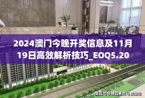 2024澳门今晚开奖信息及11月19日高效解析技巧_EOQ5.20.99