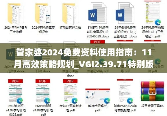 管家婆2024免费资料使用指南：11月高效策略规划_VGI2.39.71特别版