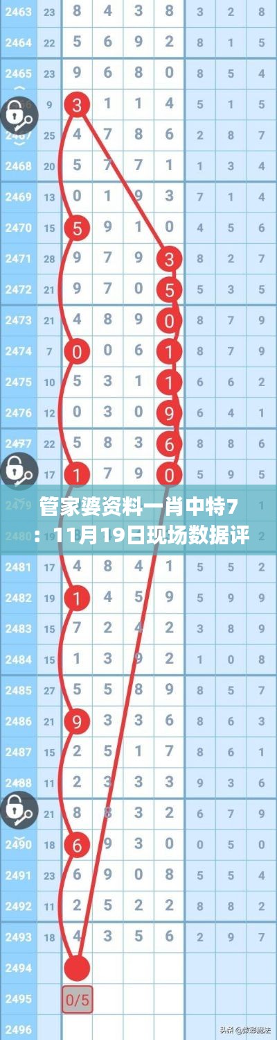 管家婆资料一肖中特7：11月19日现场数据评估分析_ZIH2.32.47特制版