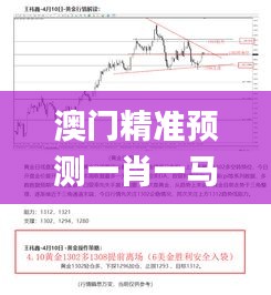 澳门精准预测一肖一马一中一特，安全方案实施_SZV2.64.86护眼版