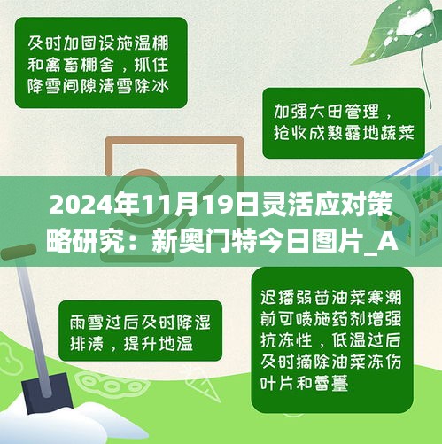 2024年11月19日灵活应对策略研究：新奥门特今日图片_ABS1.41.99未来科技版