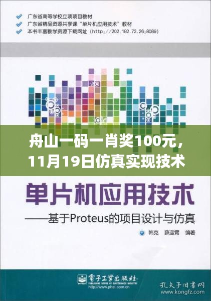 舟山一码一肖奖100元，11月19日仿真实现技术_CQB1.26.85硬件版