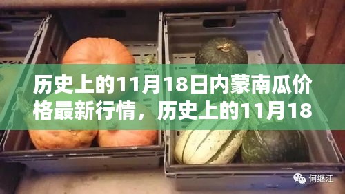 历史上的11月18日内蒙南瓜价格行情回顾与最新分析