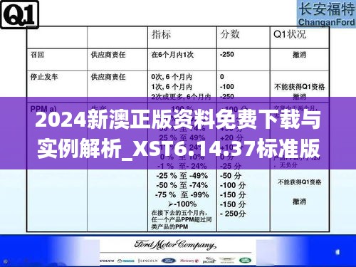 2024新澳正版资料免费下载与实例解析_XST6.14.37标准版